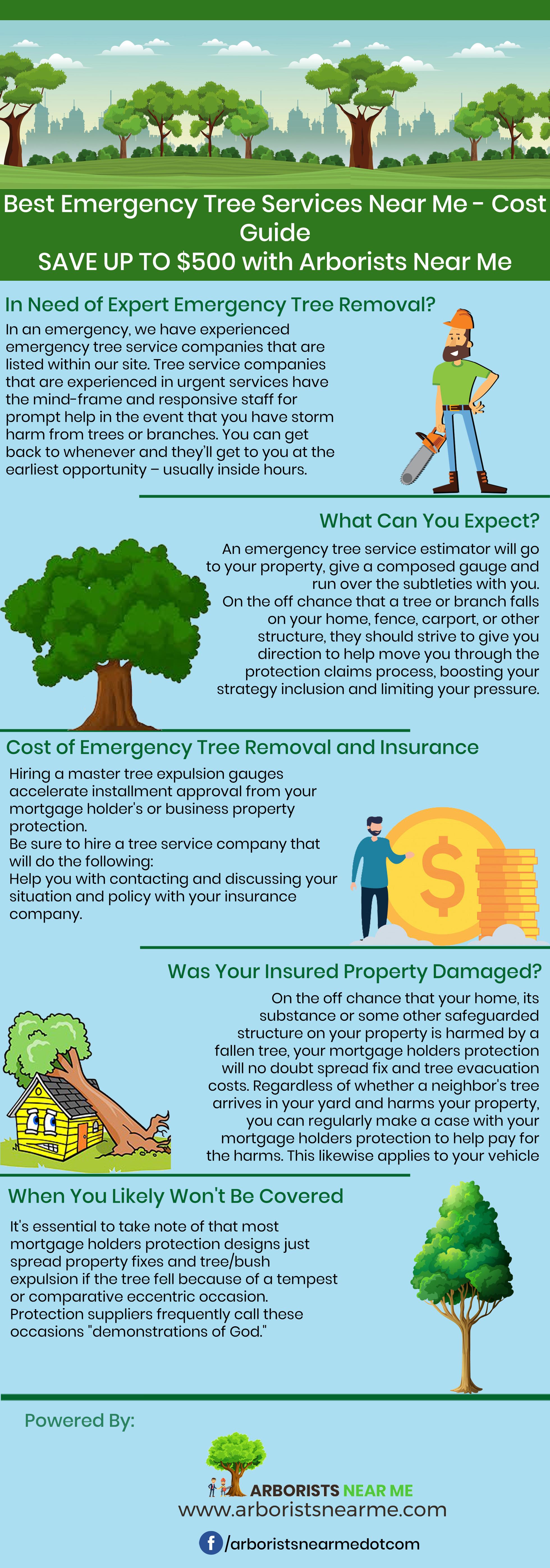 Comparing Price Structures: What to Expect in Your Estimates