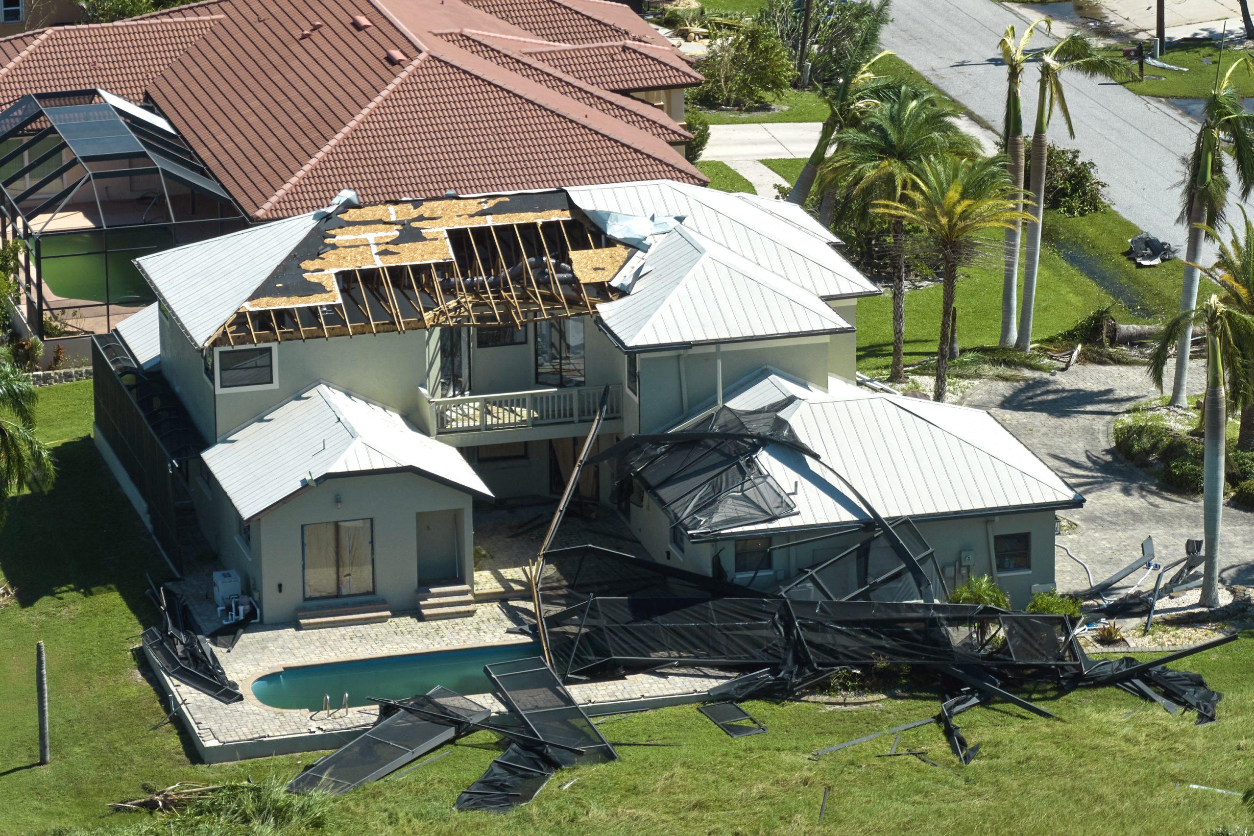 Storm Damage Tree Cleanup: Affordable Solutions
