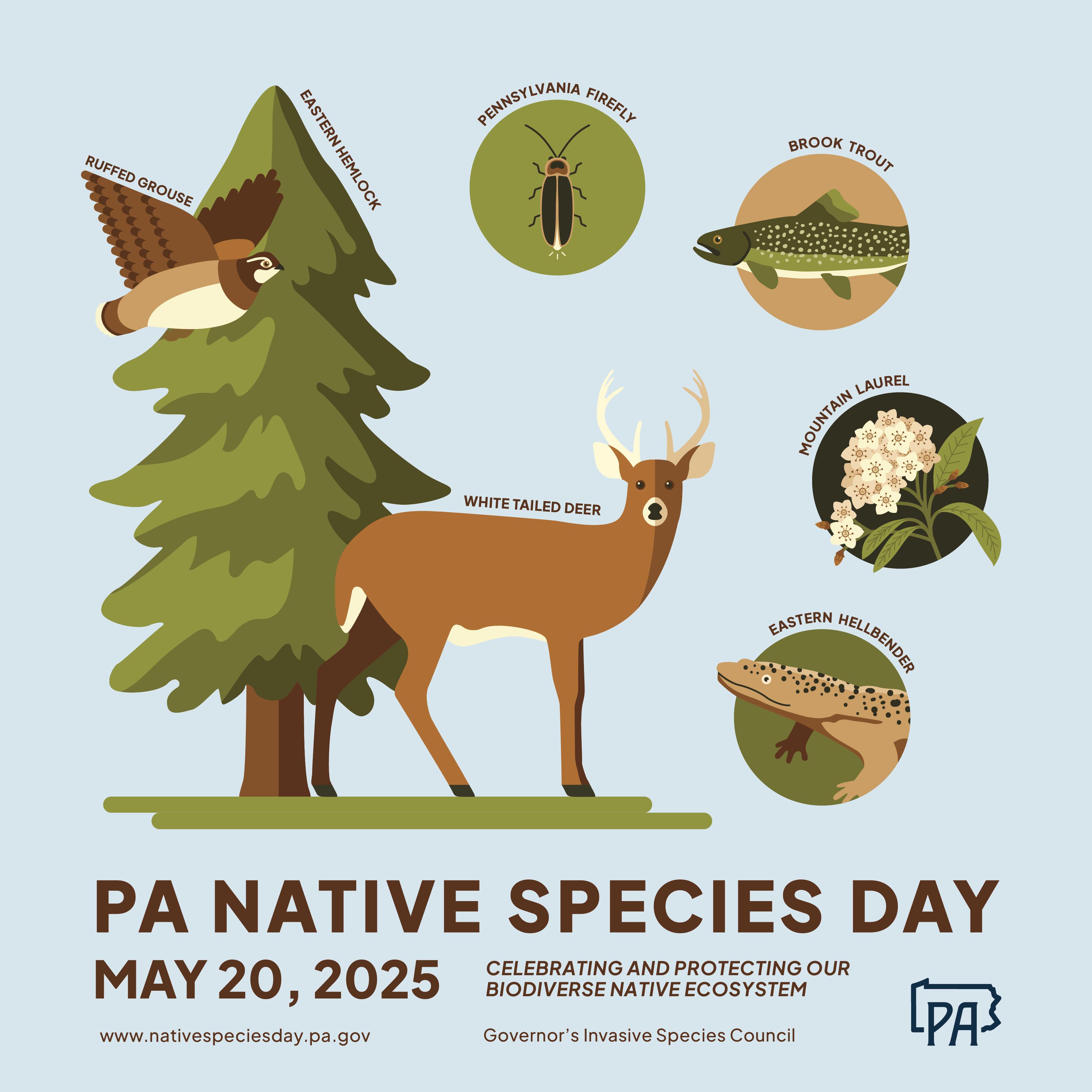 The Role of Native ⁤species in Eco-Friendly Landscaping