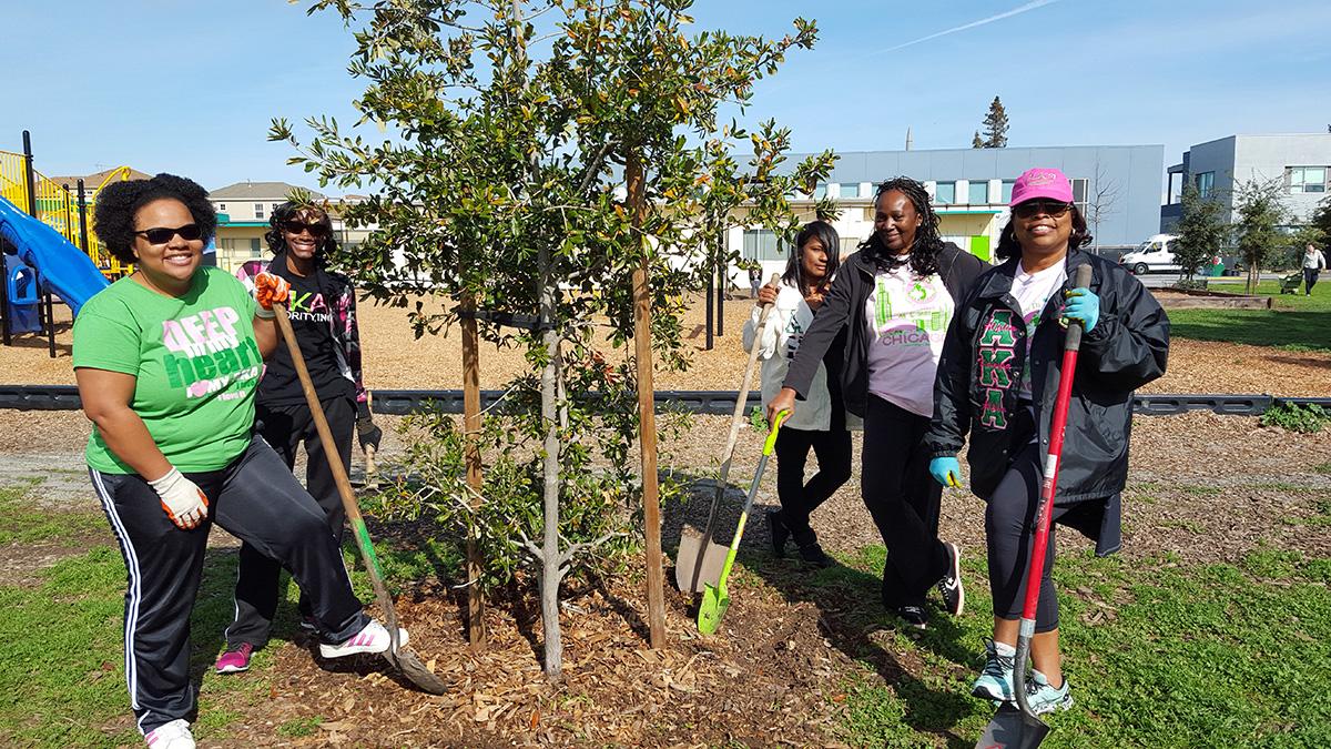 Maximizing Aesthetic⁤ Appeal: How Tree Care Enhances Brand ​Image