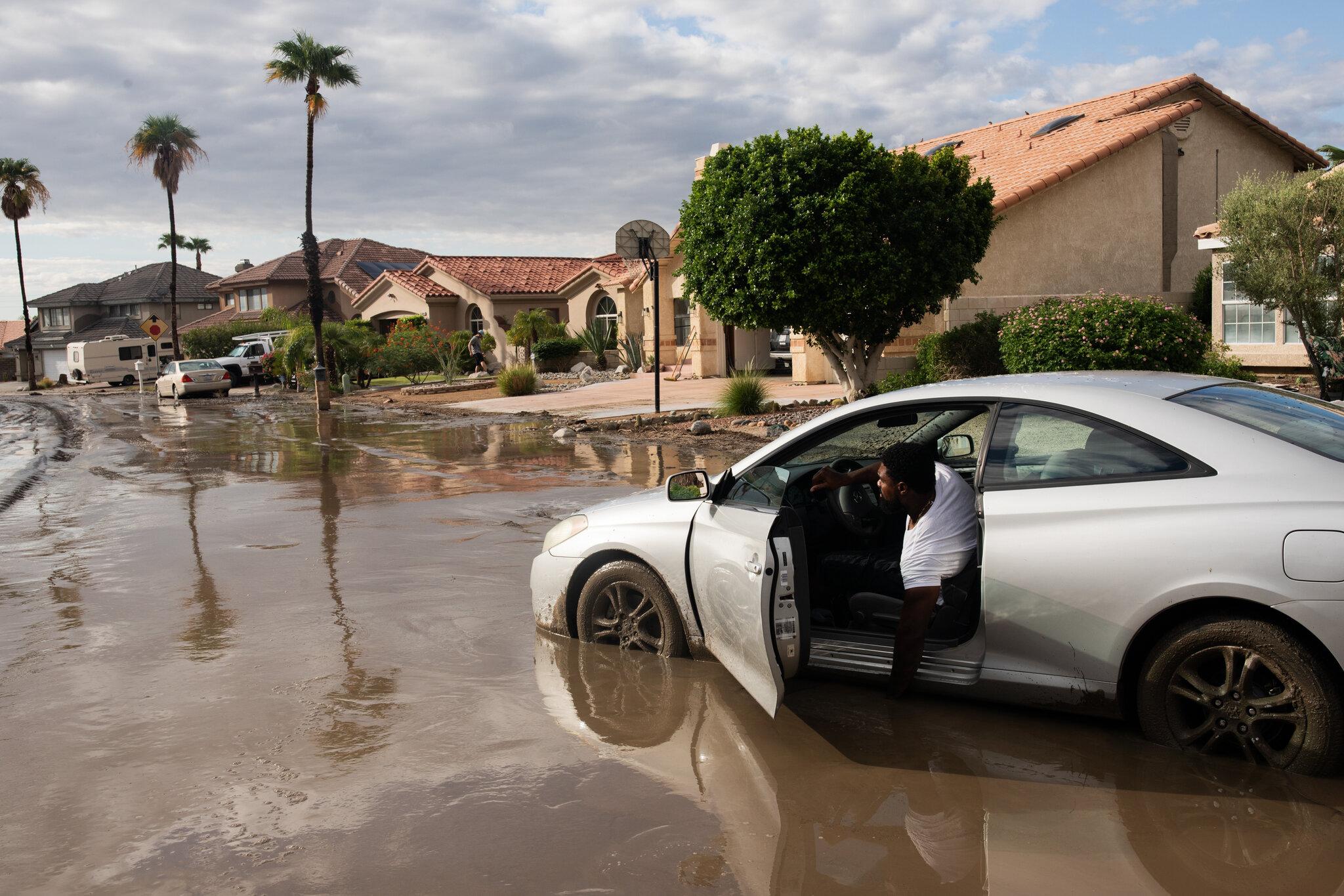 Cost-Effective Cleanup Methods for Storm-Damaged Trees