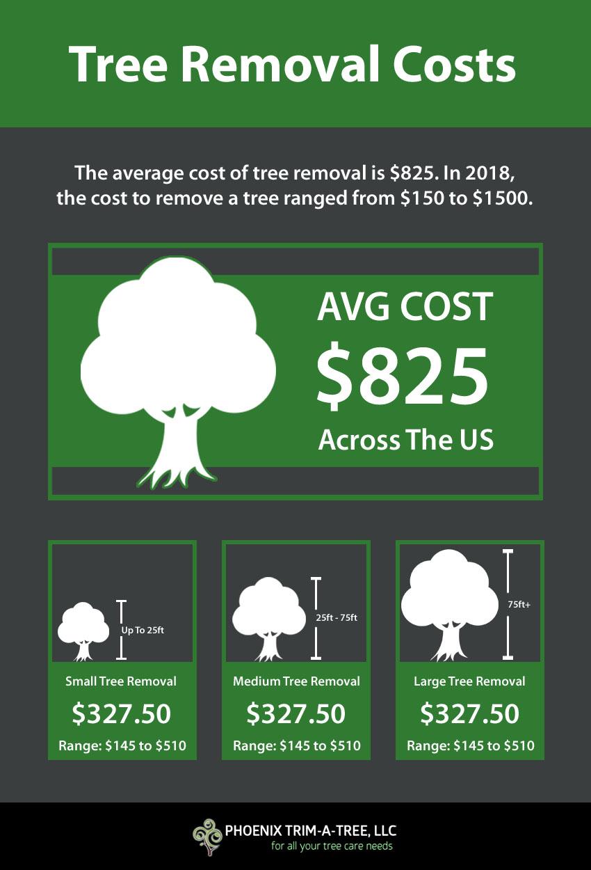 Factors Influencing Tree Size and Complexity in Removal​ Costs