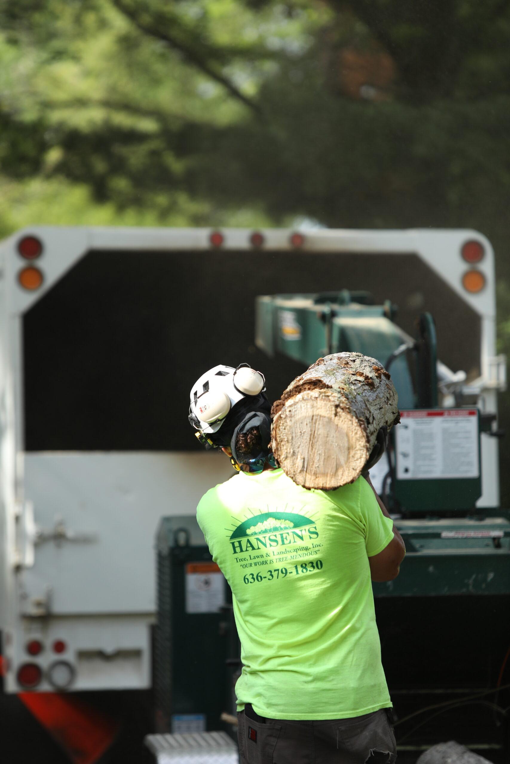 maintaining Long-Term Savings ​with Preventative Tree Care Techniques