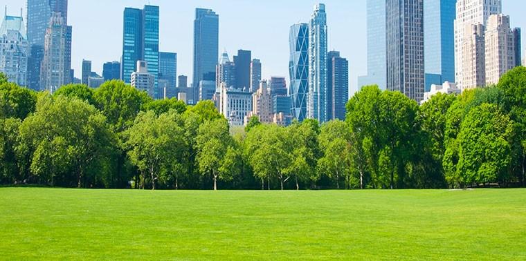 enhancing Urban ​Green Spaces⁢ Through‌ sustainable Tree⁤ Care
