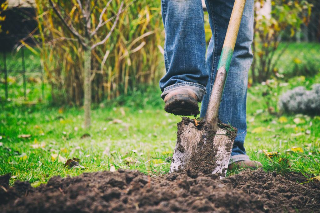 Essential preparations⁢ Before Breaking Ground