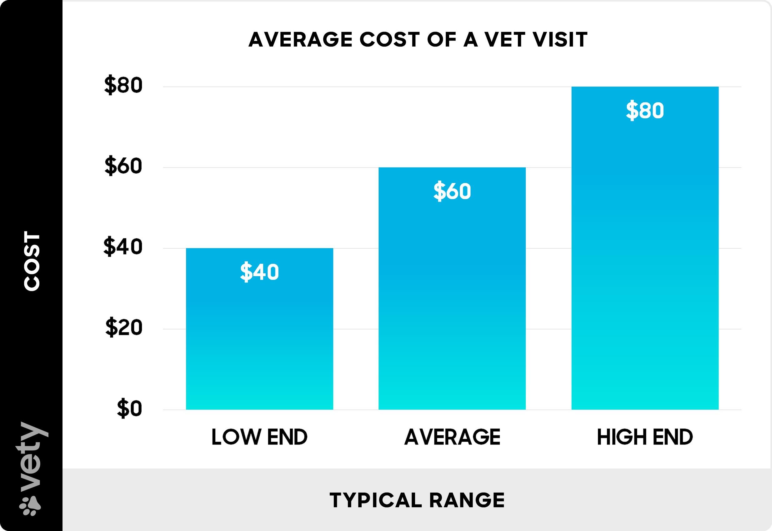 Understanding the Financial ⁤Burden of Unexpected Veterinary Costs