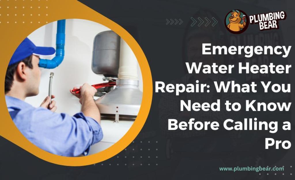 Choosing the Right Professionals for Emergency Water Repairs