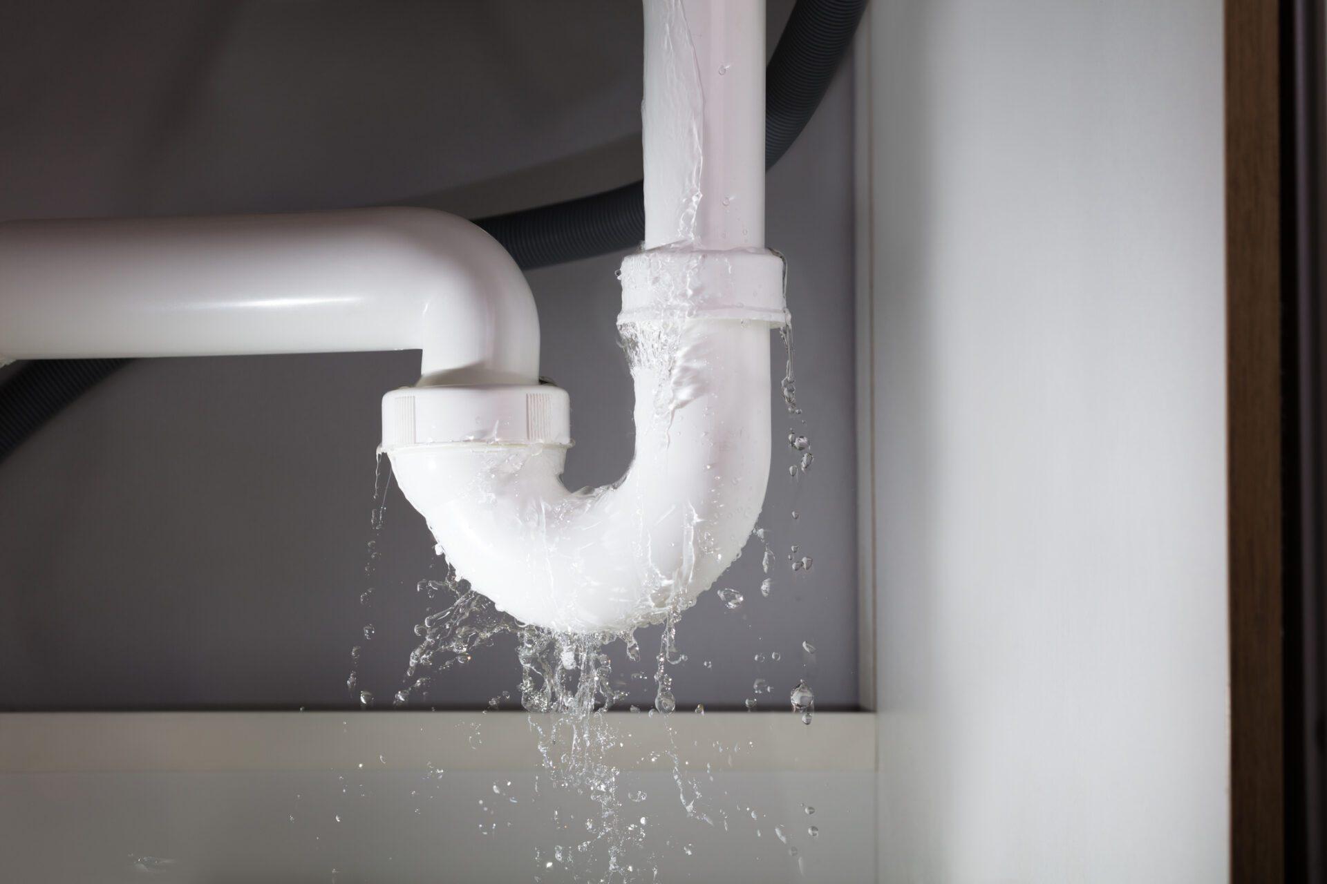 Ignoring Water Leaks? Here’s What It Could Cost You