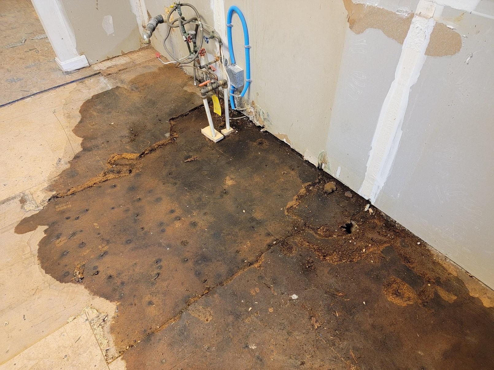 Hidden Water Leaks: The Silent Destroyer of Your Property