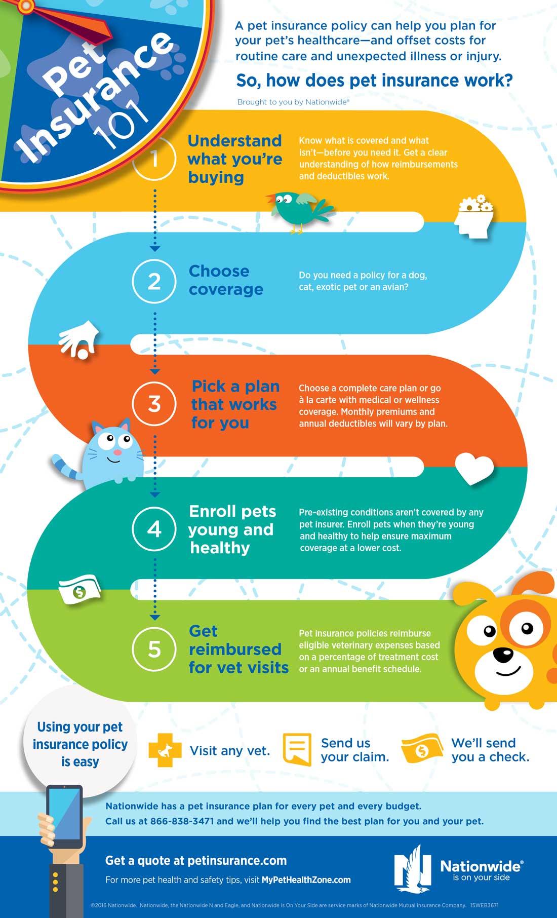 Pet Insurance Explained: Coverage, Costs, and What to Expect