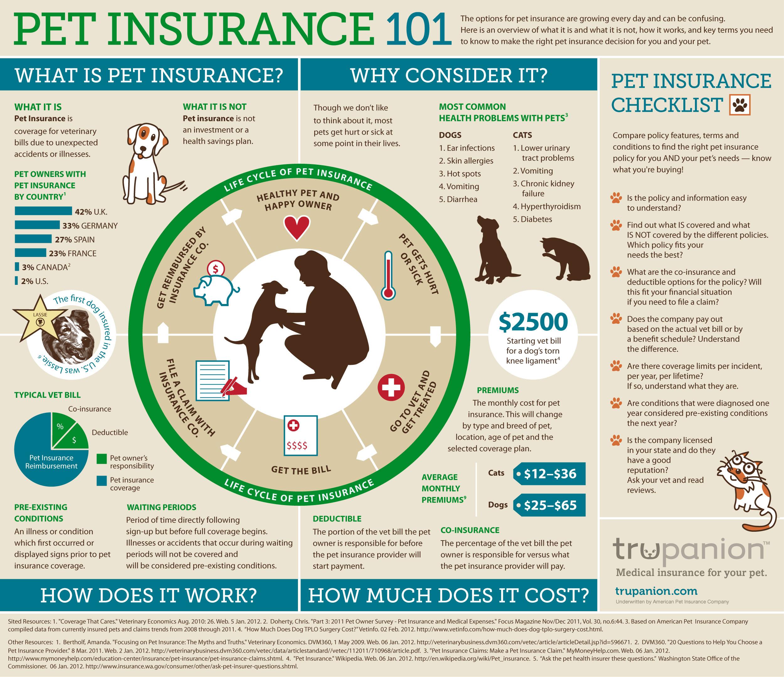 What Does Pet Insurance Really Cover? Don’t Be Surprised!