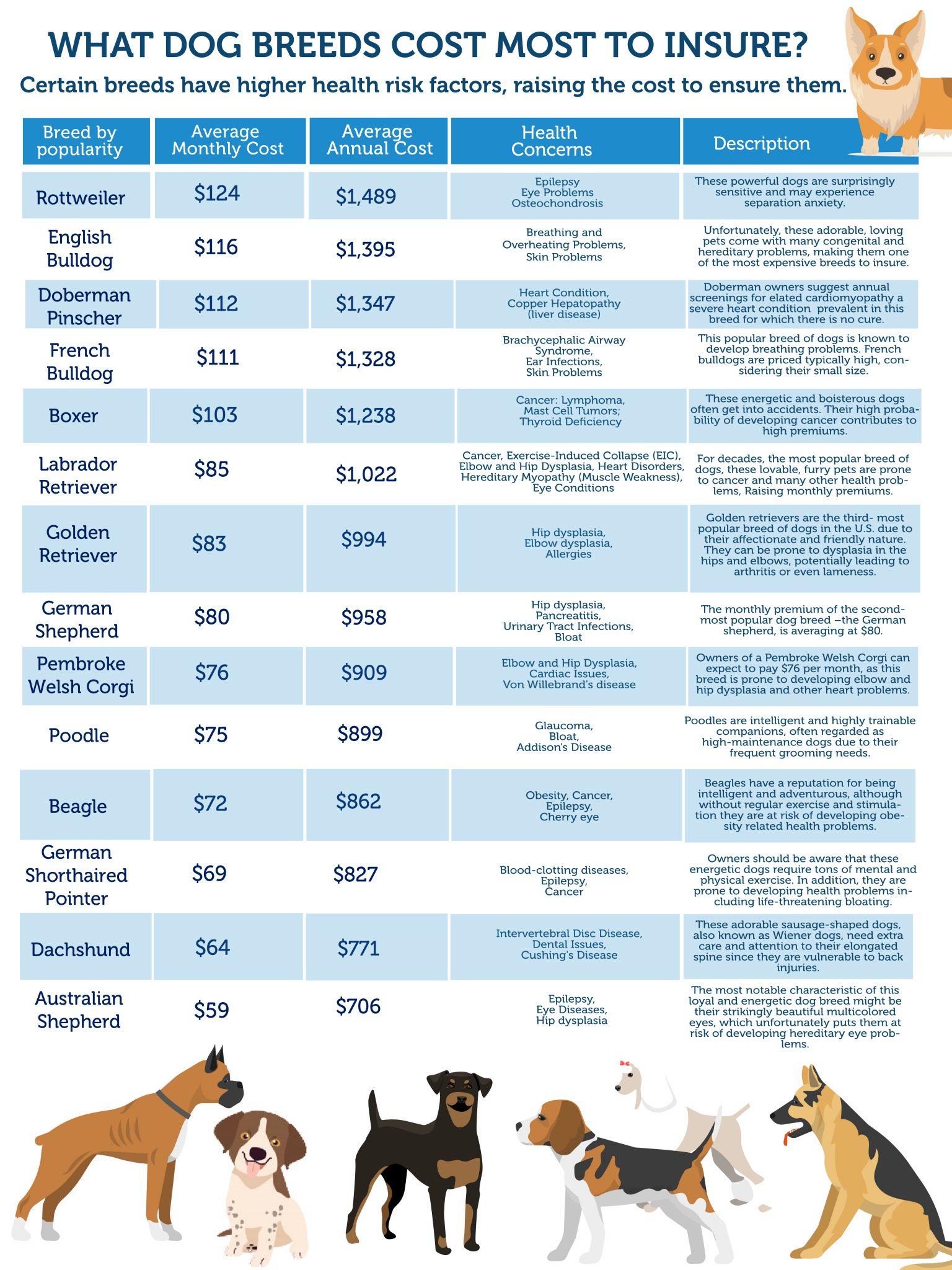 How Much Does Pet Insurance Cost? A 2025 Price Breakdown
