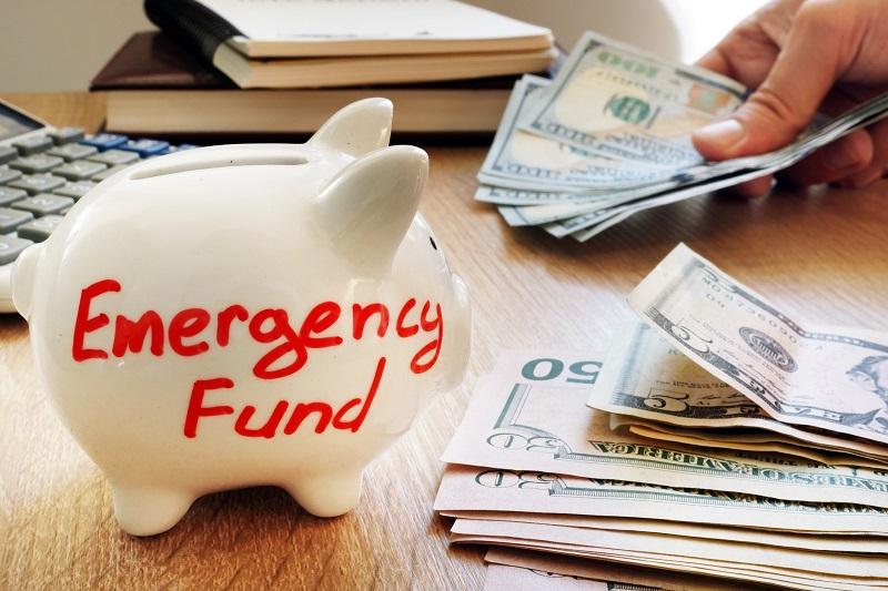 Pet Insurance vs. Emergency Savings: Which Is Better?