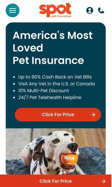 Best Pet Insurance Providers Compared: Which One Is Right for You?