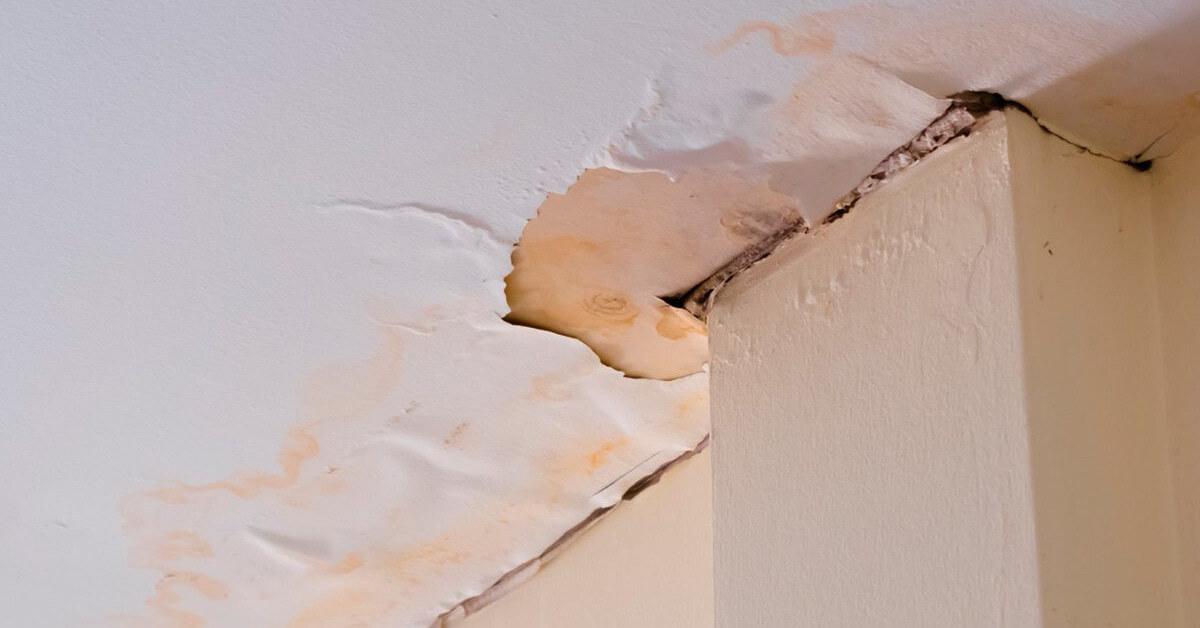 Effective Solutions for Detecting and repairing Hidden Water Leaks