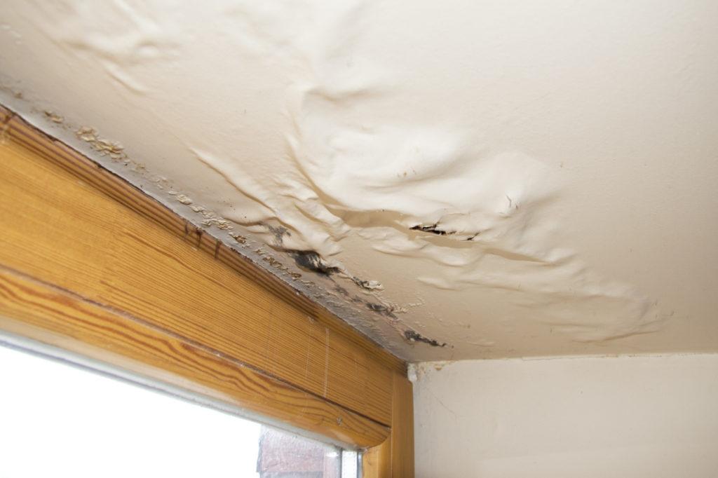 Identifying ⁣Early Signs of Water ​Damage