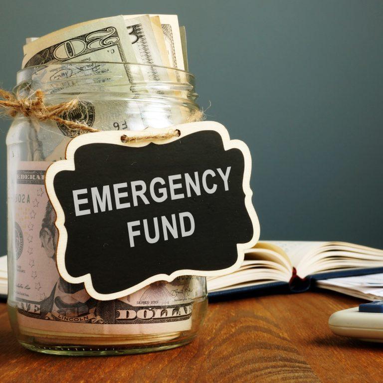 Evaluating the ⁣Role of‌ Emergency Savings in Pet care