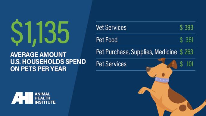 Making Informed Decisions: Tailoring Your ⁤Approach to ⁣Pet Health Expenses