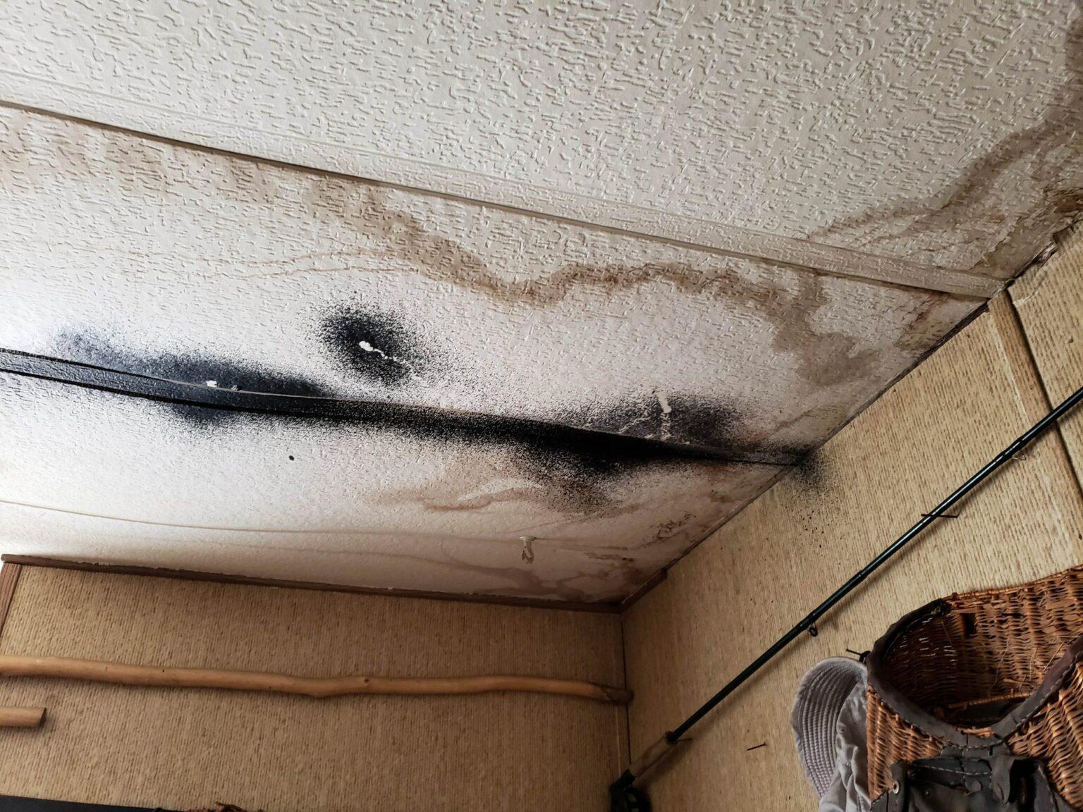 understanding the Financial Impact⁣ of ⁣Neglected‍ Water Damage