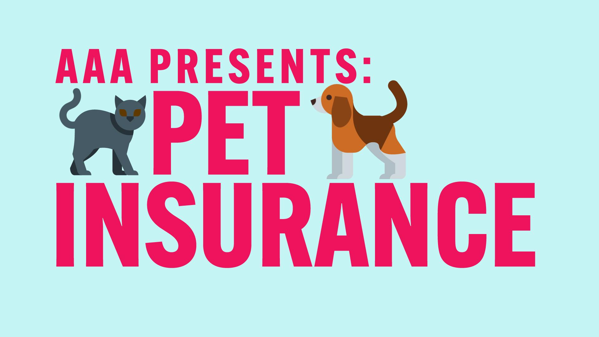 Exploring Different Types of Pet Insurance‍ Plans
