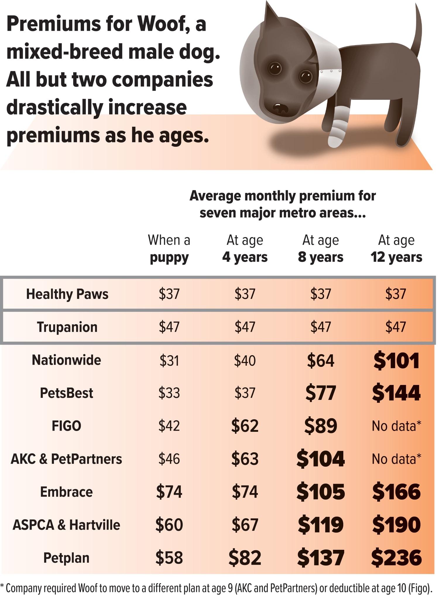 How ​to Choose​ the Right Coverage for Your Furry Friend