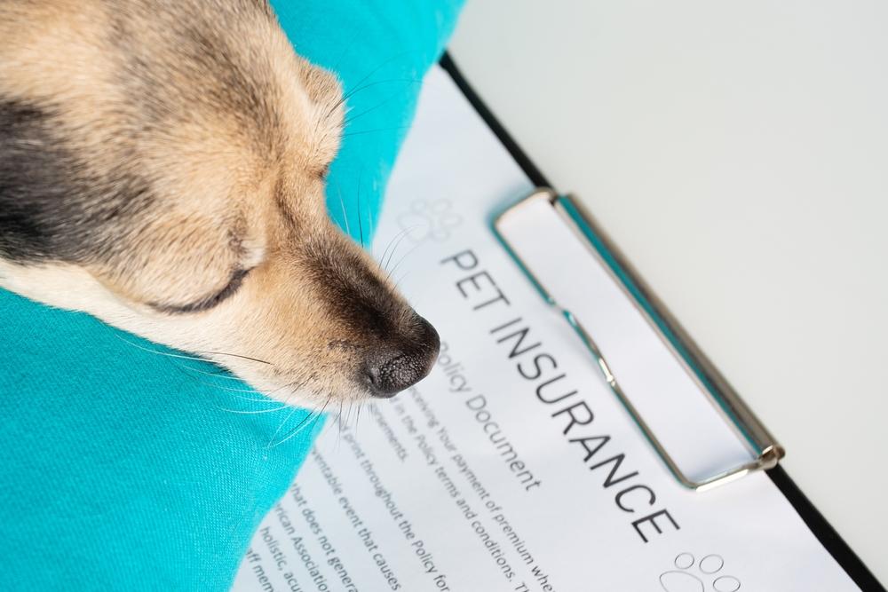 Navigating the Claims Process: ​Tips for a Smooth Experience